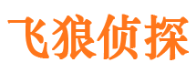 安庆外遇调查取证